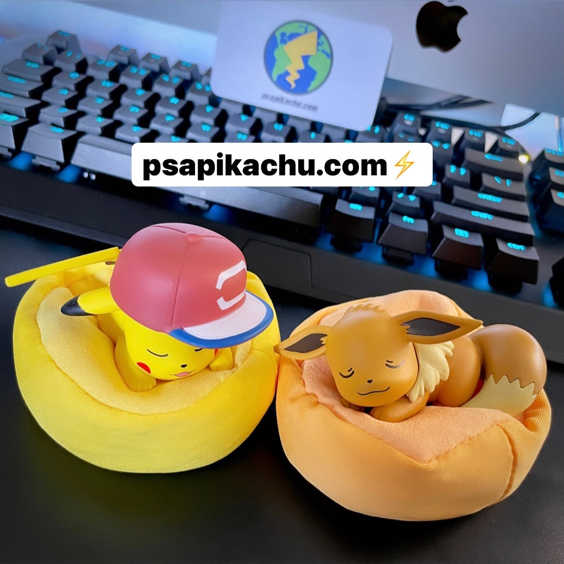 Ditto Transforming Pokémon Plushie – PSAPIKACHU